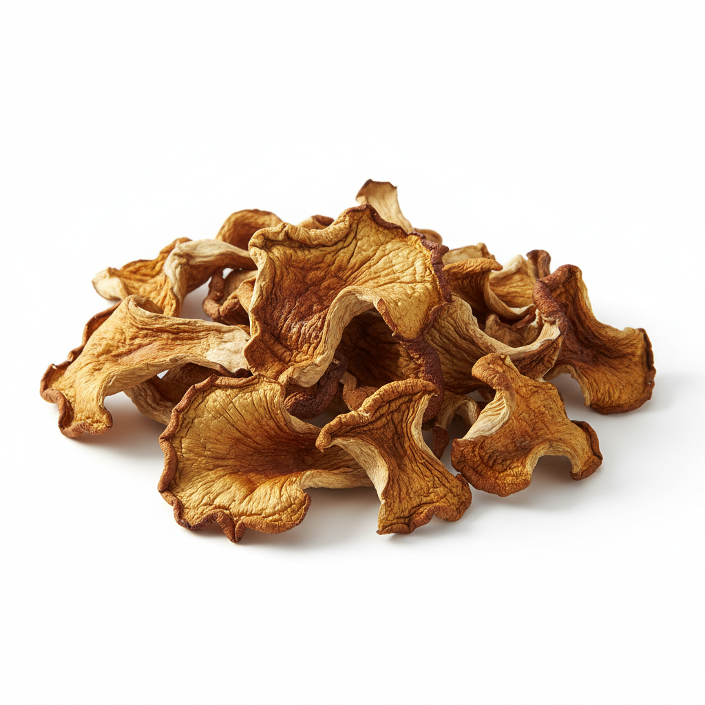 Dried Oyster Mushroom